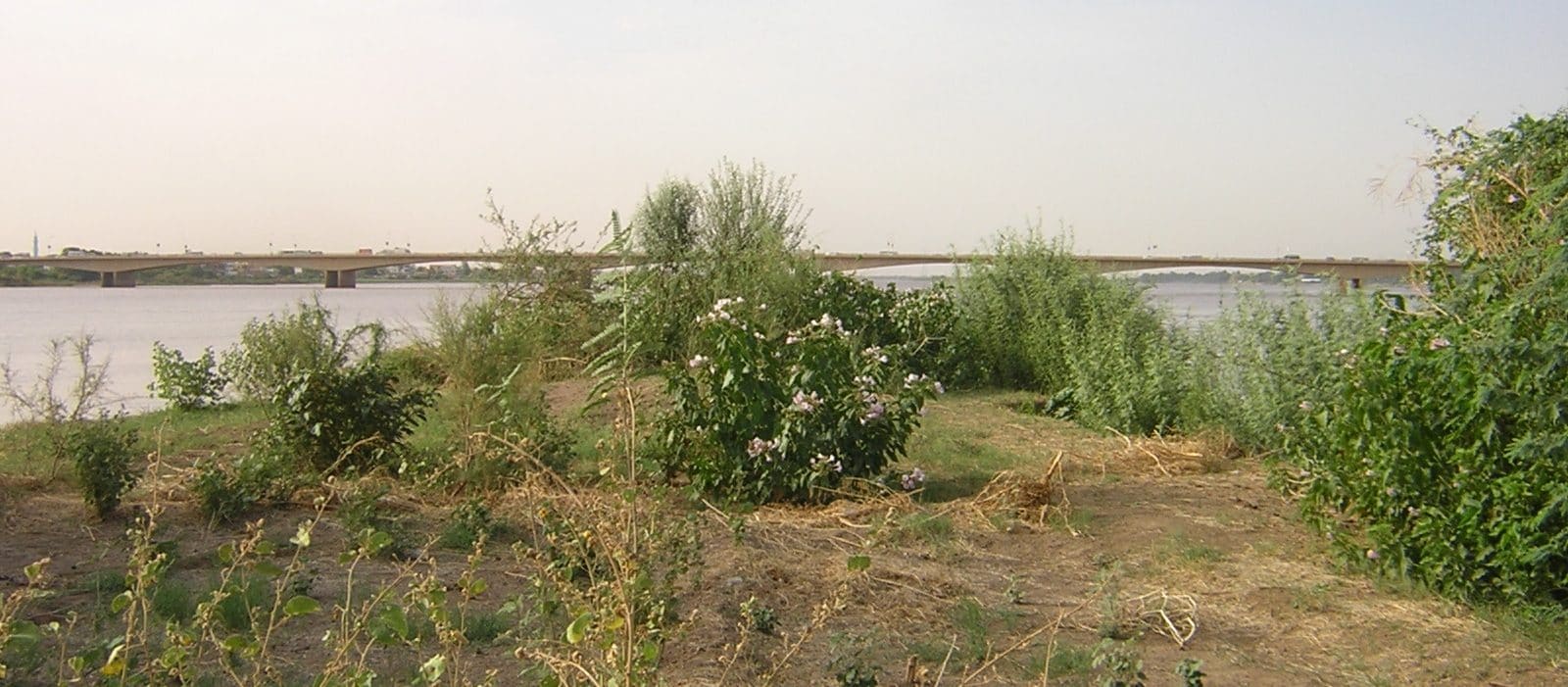 Aerial view of the confluence of the White Nile and Blue Nile rivers at Khartoum, Sudan