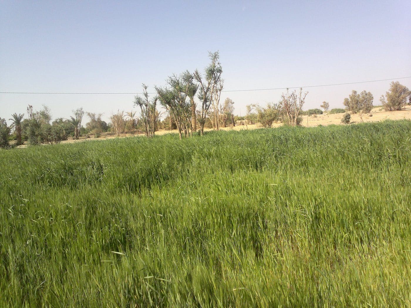 A street-level view of Marib, the government stronghold where roughly 3,800 fighters on both sides were reported killed in the first two and a half months of the 2021 offensive