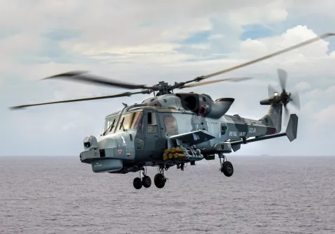 Thales Group Martlet (LMM)